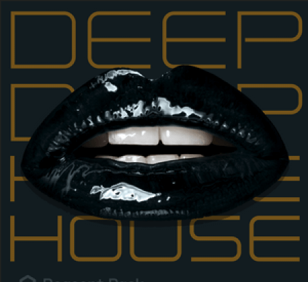 New Loops Deep House ReFill